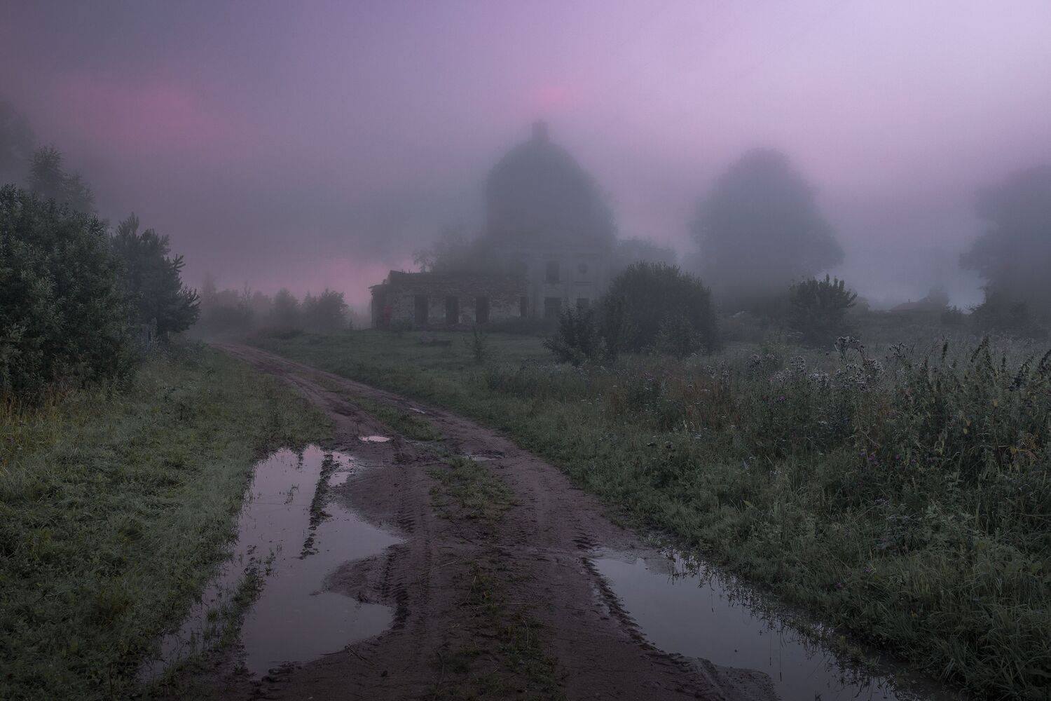 Тверская область, Гусева Елена