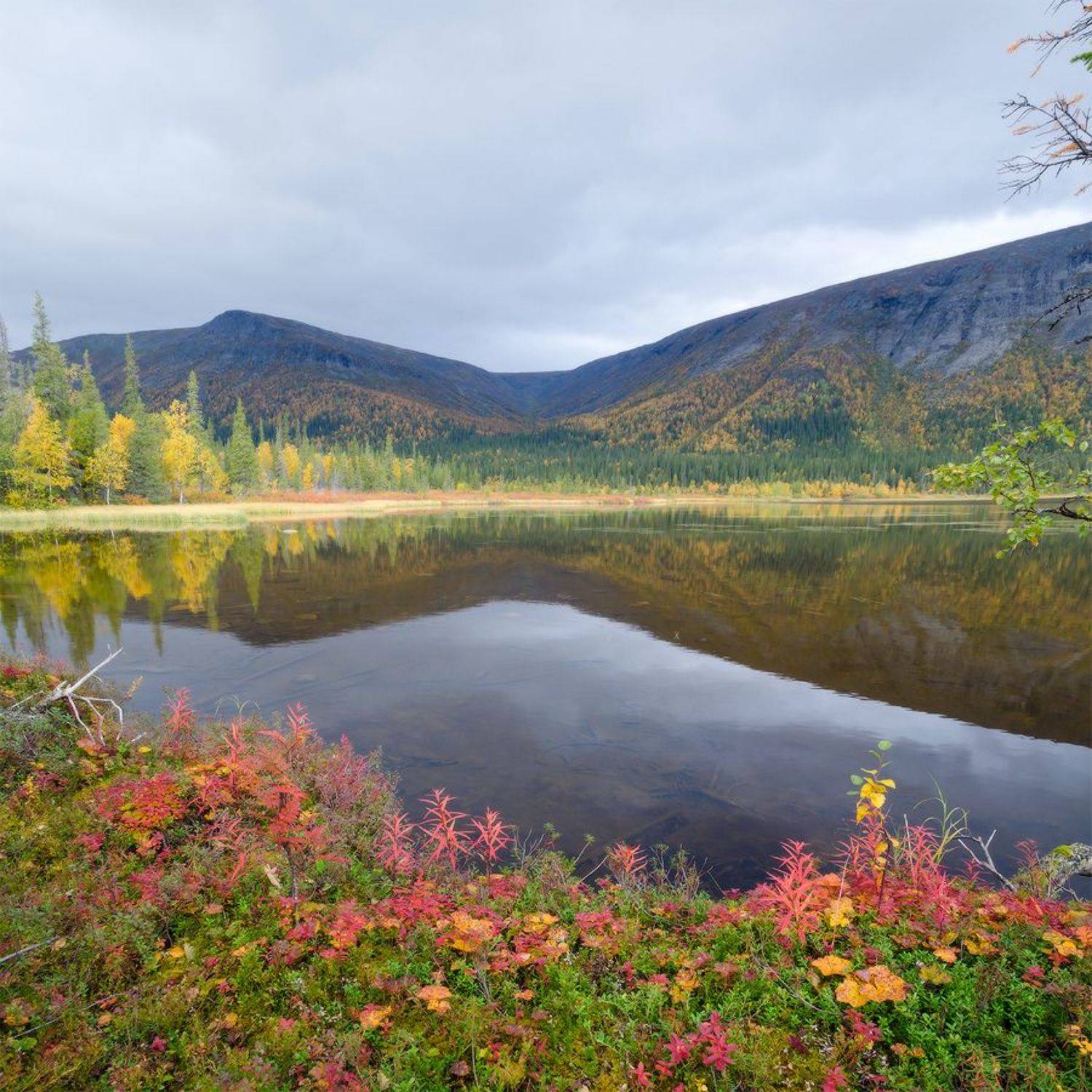 Сейдозеро, оз. Щучье, Юсупов Александр