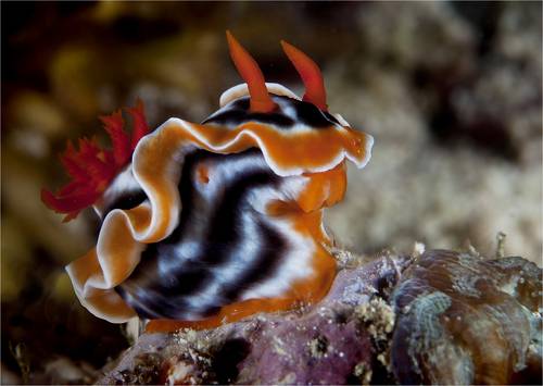 осенний прикид