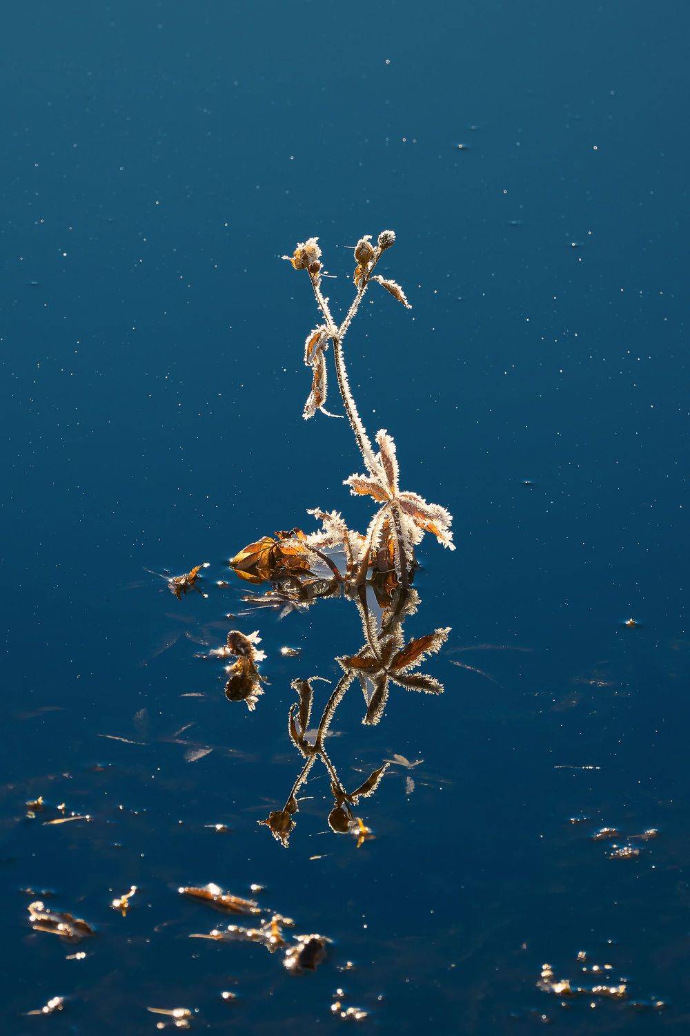 , Наталья Лабодина