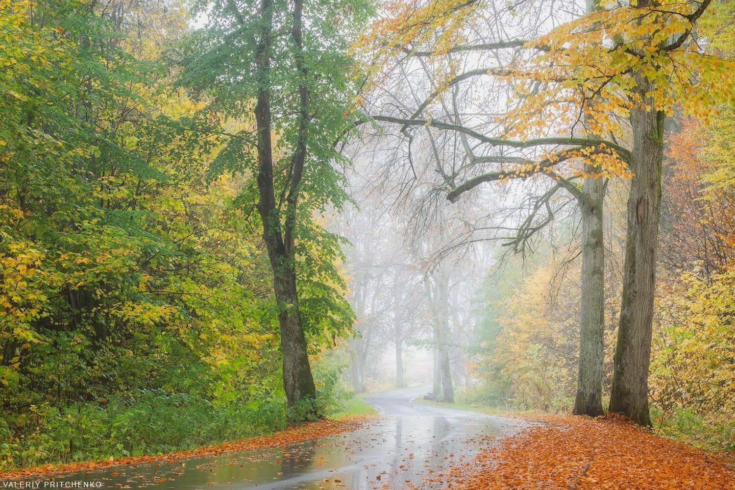 осень, природа, дорога, пейзаж, autumn, landscape, nature, Валерий Притченко