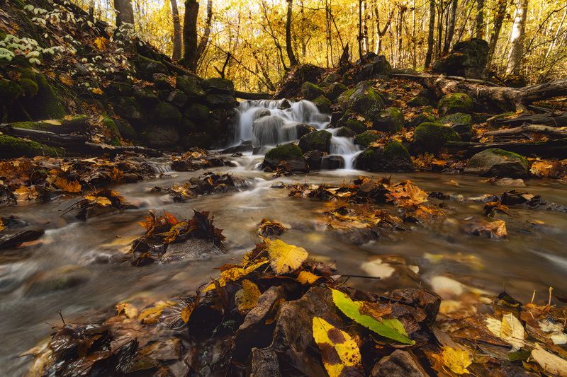 ручей, водопад, псков,  autumn, landscape *** фото превью