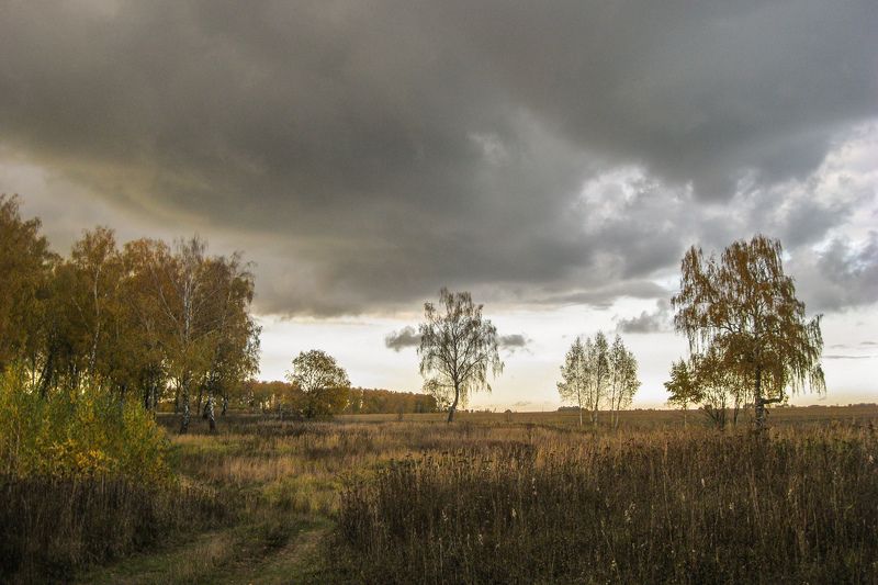 Буря мглою небо кроет фото превью