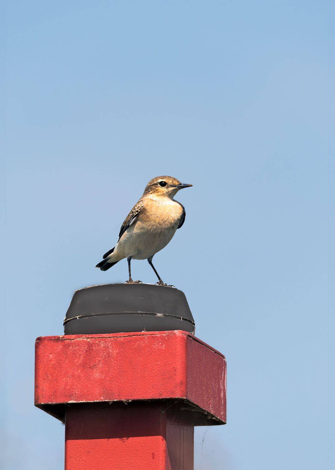 каменка, Алексей Рыльский
