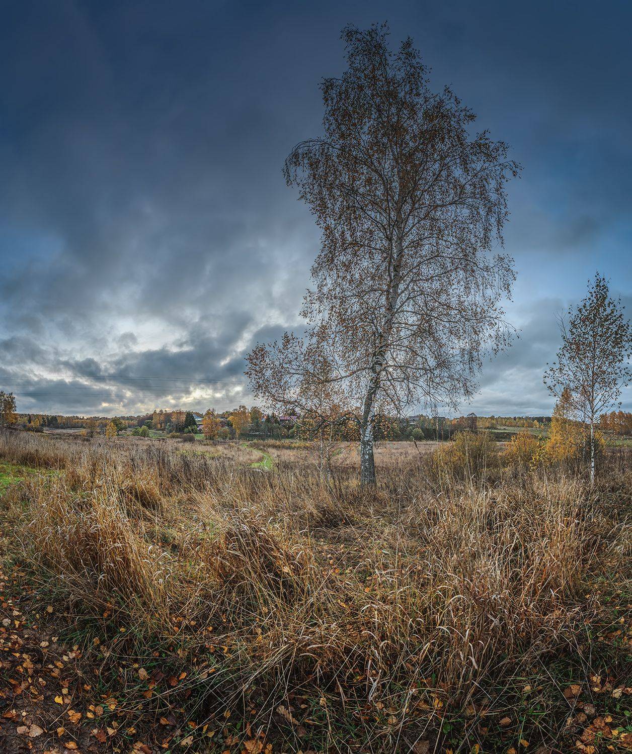 , Андреев Николай