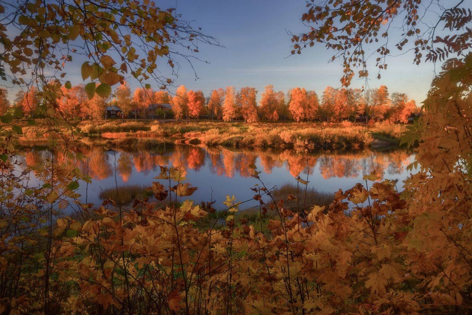 осень, октябрь, река, молога, устюжна, Марина Мурашова