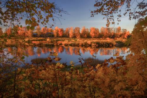осень золотая