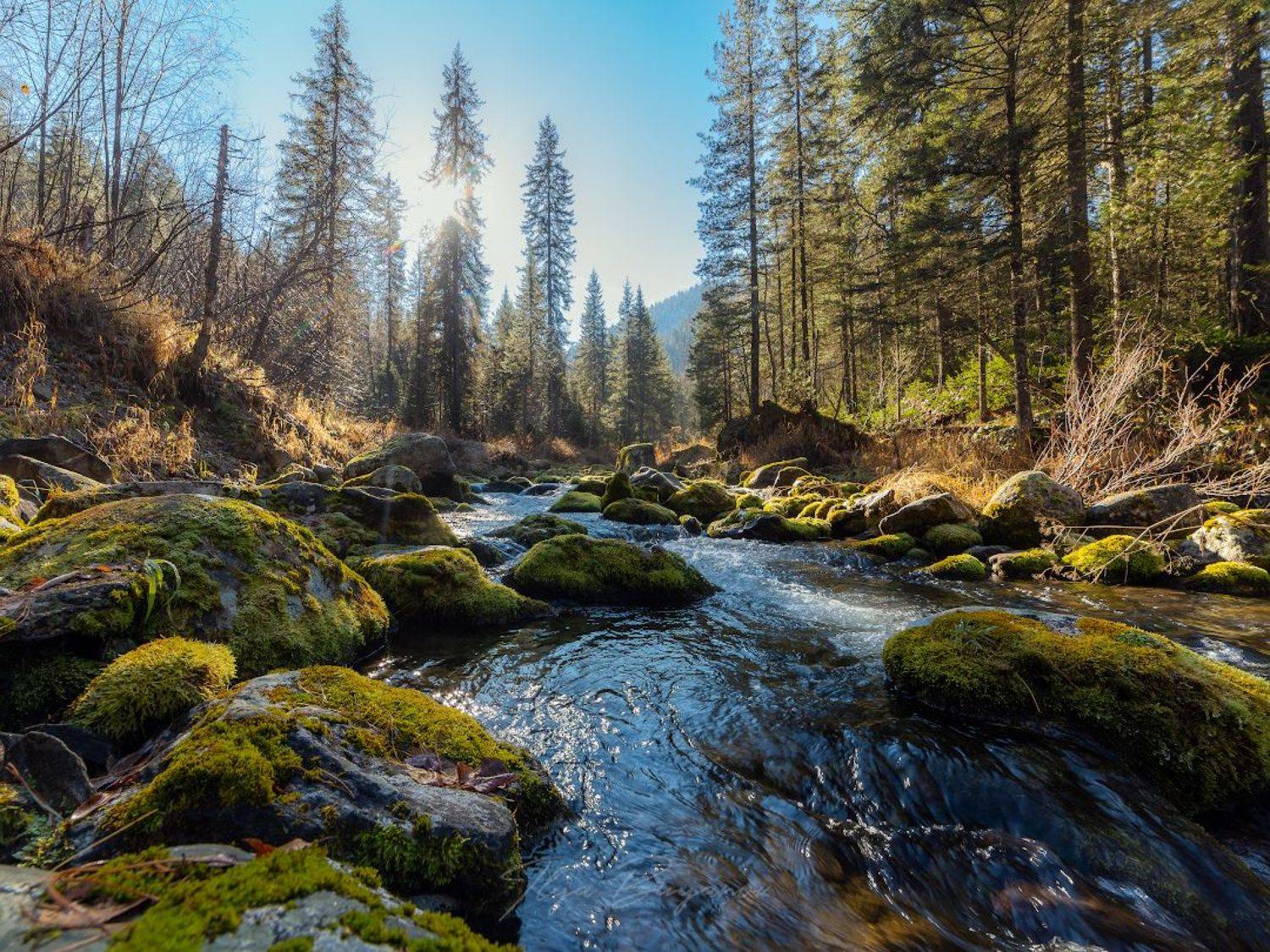 бурятия, хамардабан, мамай, хамар-дабан, Буянов Илья