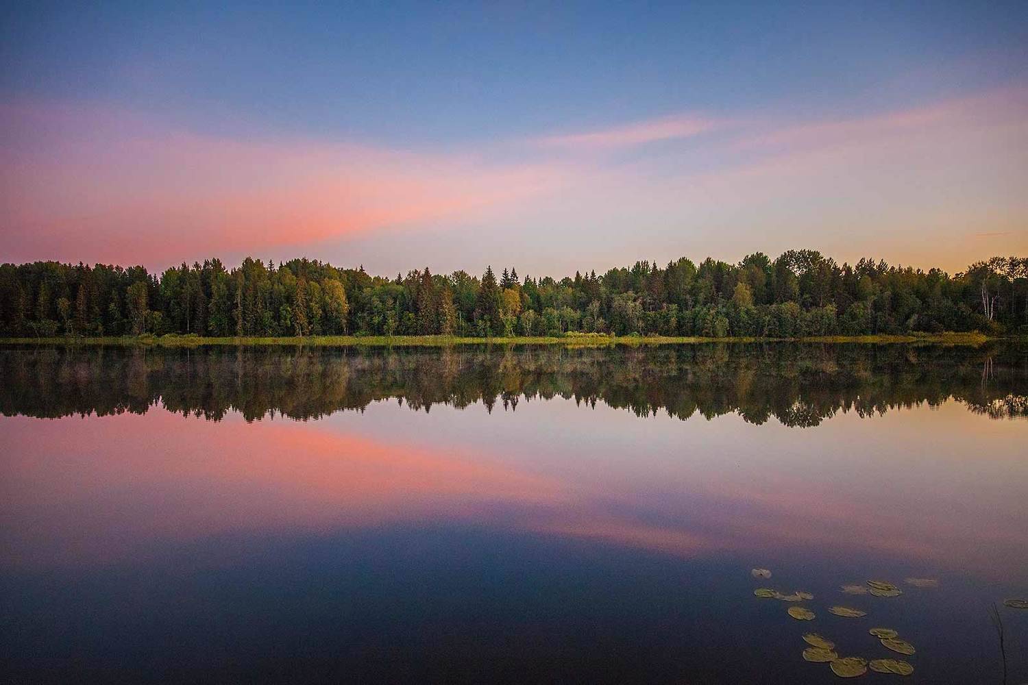 , Напалкин Станислав