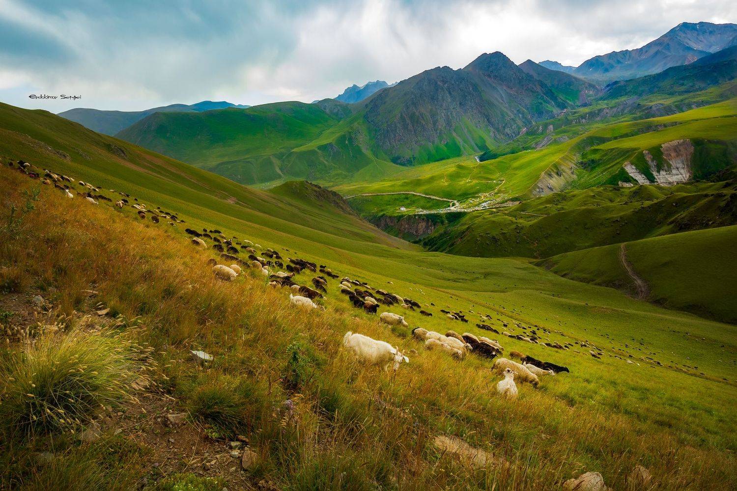 , Сергей Евдокимов