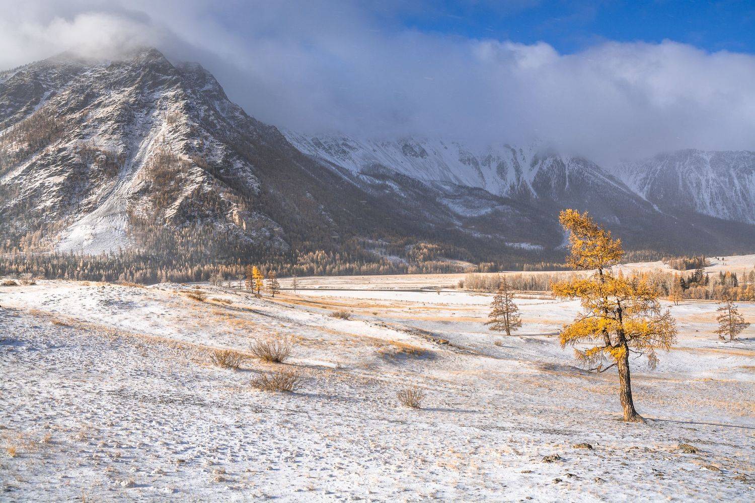 россия, горный алтай,осень, Андрей Поляков