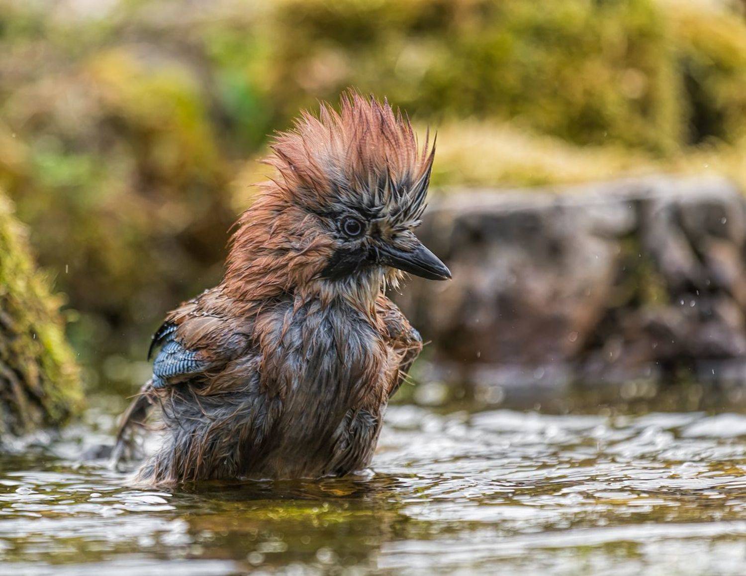 , Sławek Przybylski