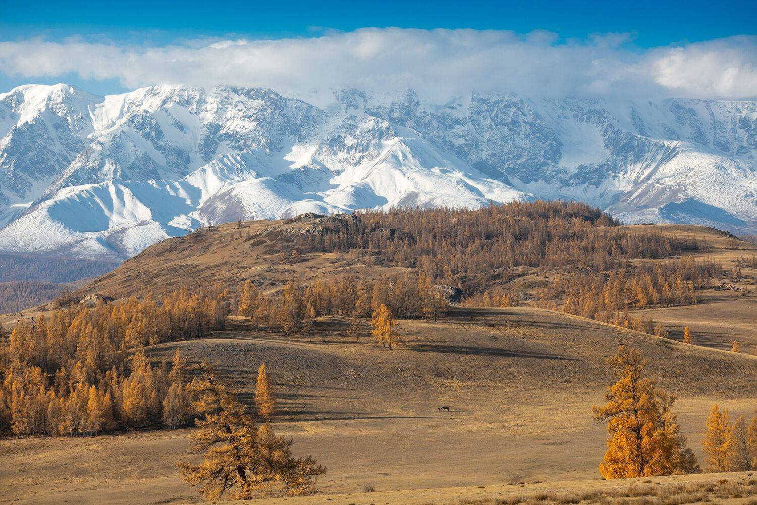 , Константин Буркин