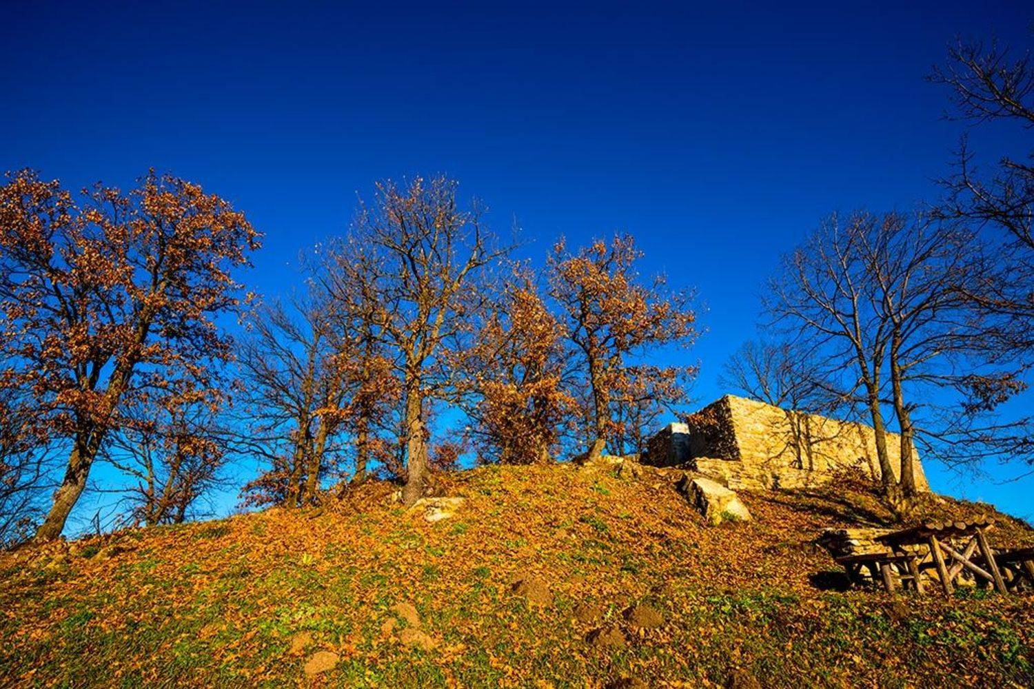 autumn, blue, landscape, leaf, leaves, nature, photography, sky, skies, tree, trees,, Dr Didi Baev
