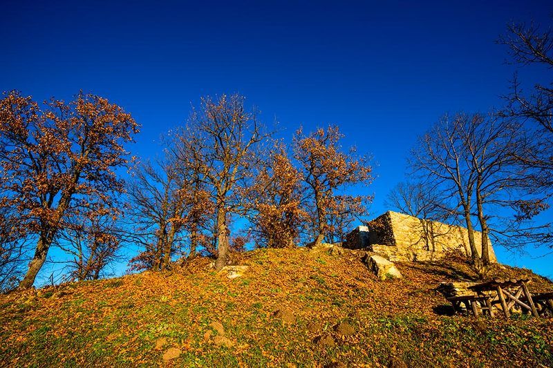 autumn, blue, landscape, leaf, leaves, nature, photography, sky, skies, tree, trees, Осеннее небо такое голубое/Autumn Skies Are So Blue фото превью