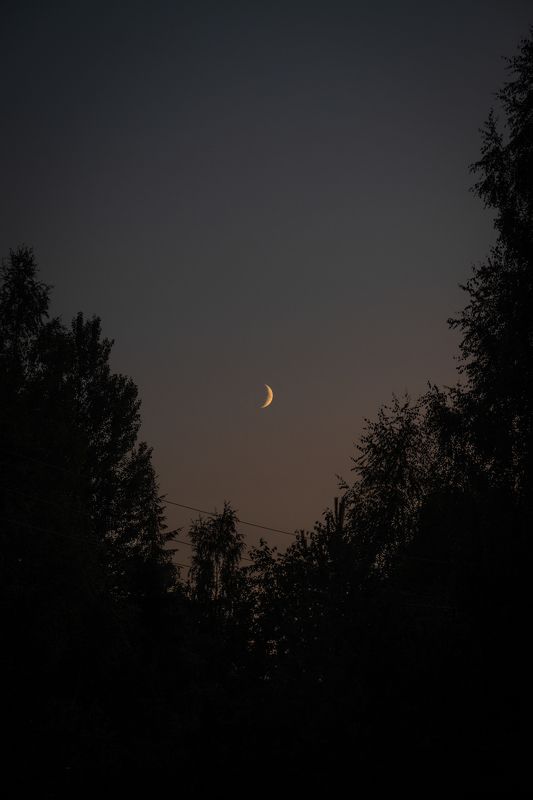 Ночь в деревне фото превью