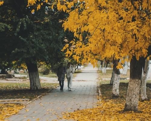 В городе желтая осень.