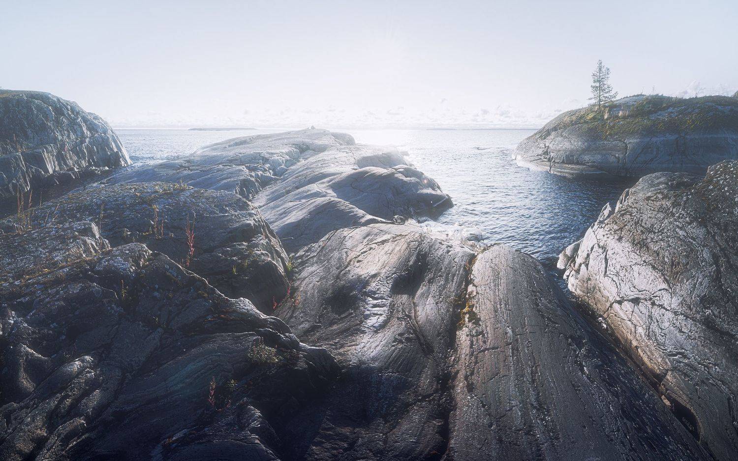 Ладога, Кононов Антон