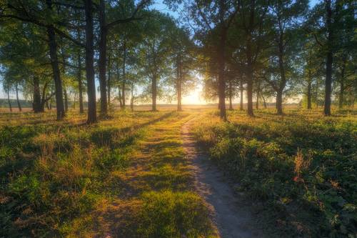 Солнечный сентябрь