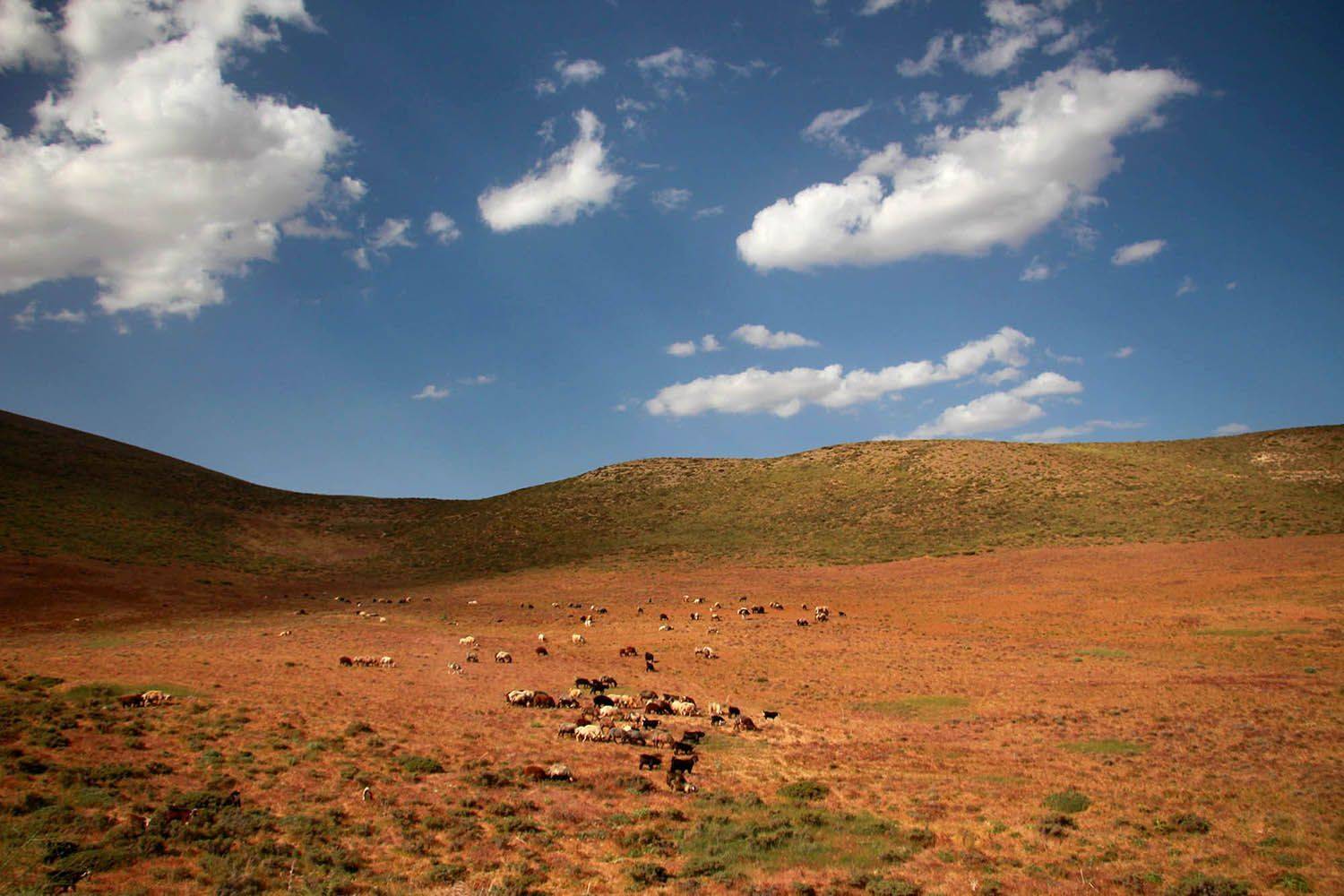 , mehdi karimi souderjani