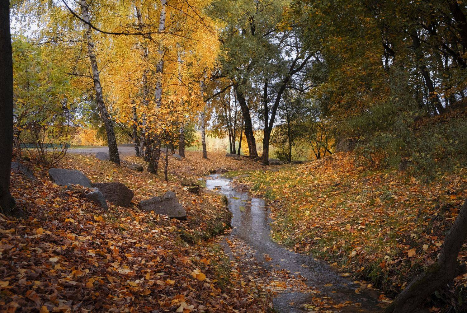 , Екатерина