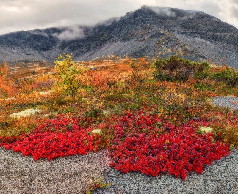Краски осени, Хибины фото превью