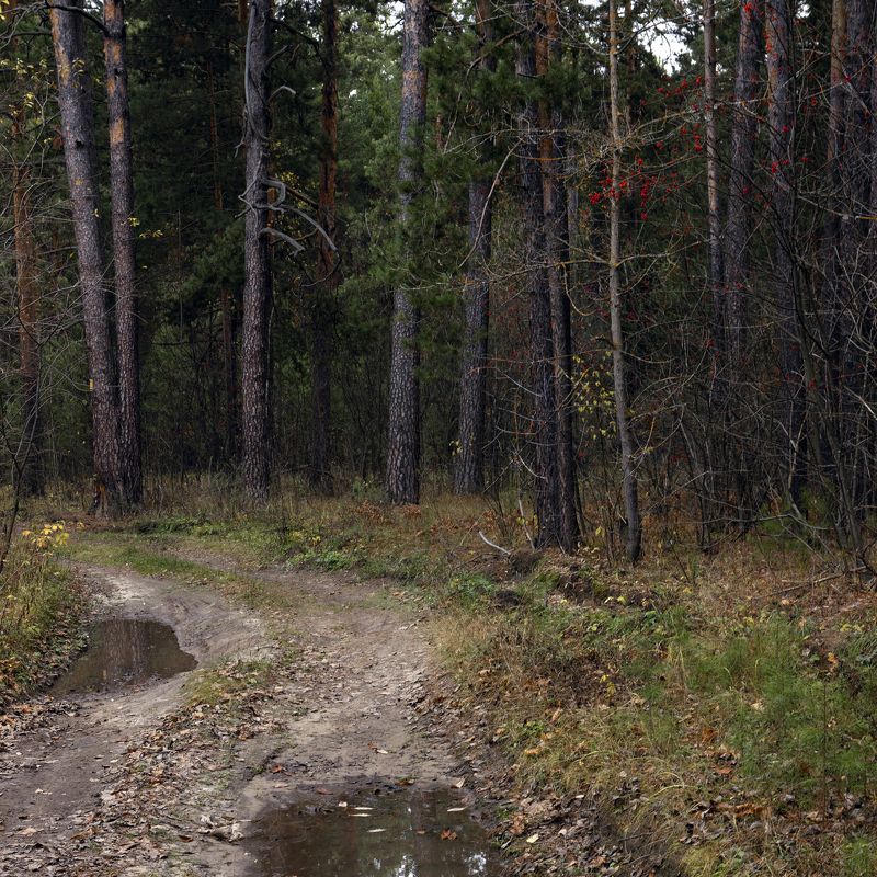 *** фото превью