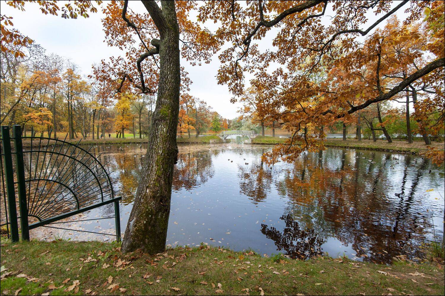, Георгий Сапожников