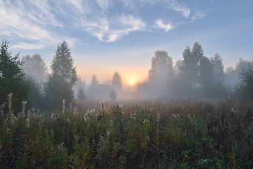 туманное утро
