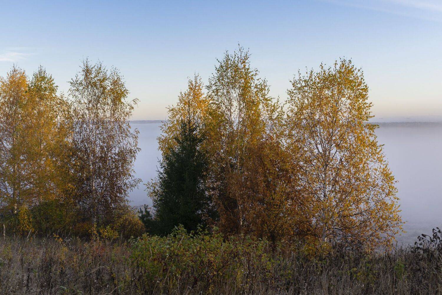 , Галина Луценко