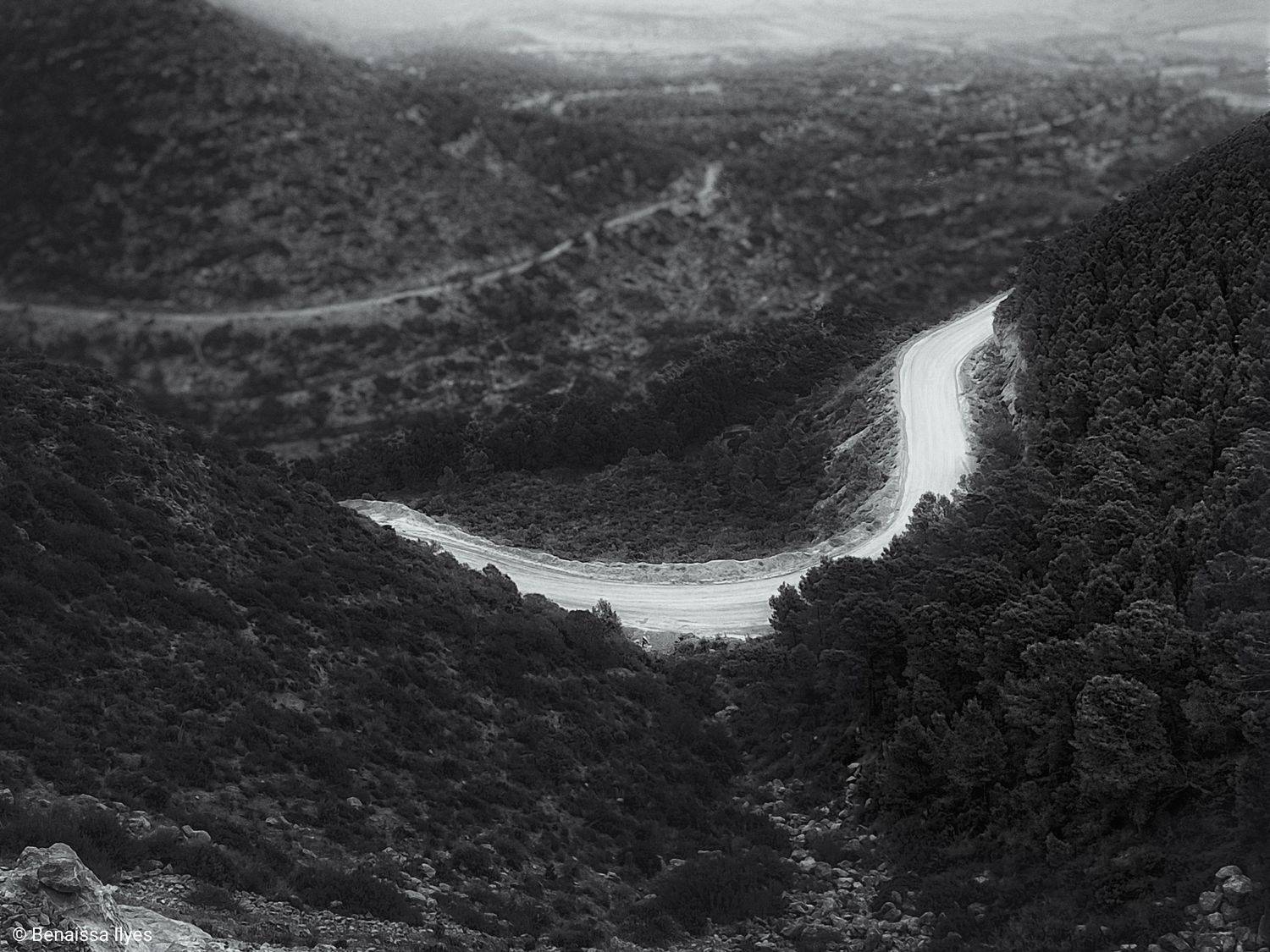 black and white, bnw, road, film, fine art, monochrome, way, trees, forest, blure, focus,, Ilyes Benaissa