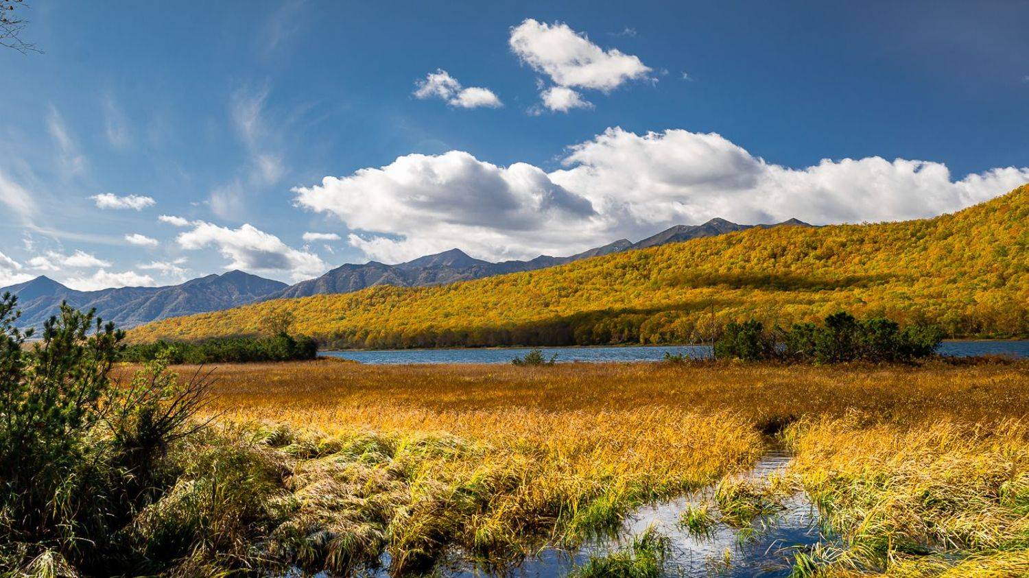 , Евгений Житников