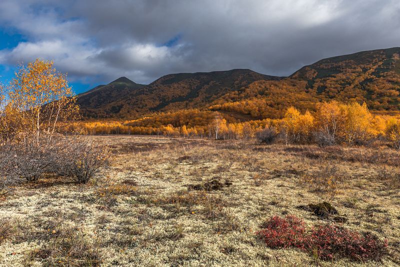 ... фото превью