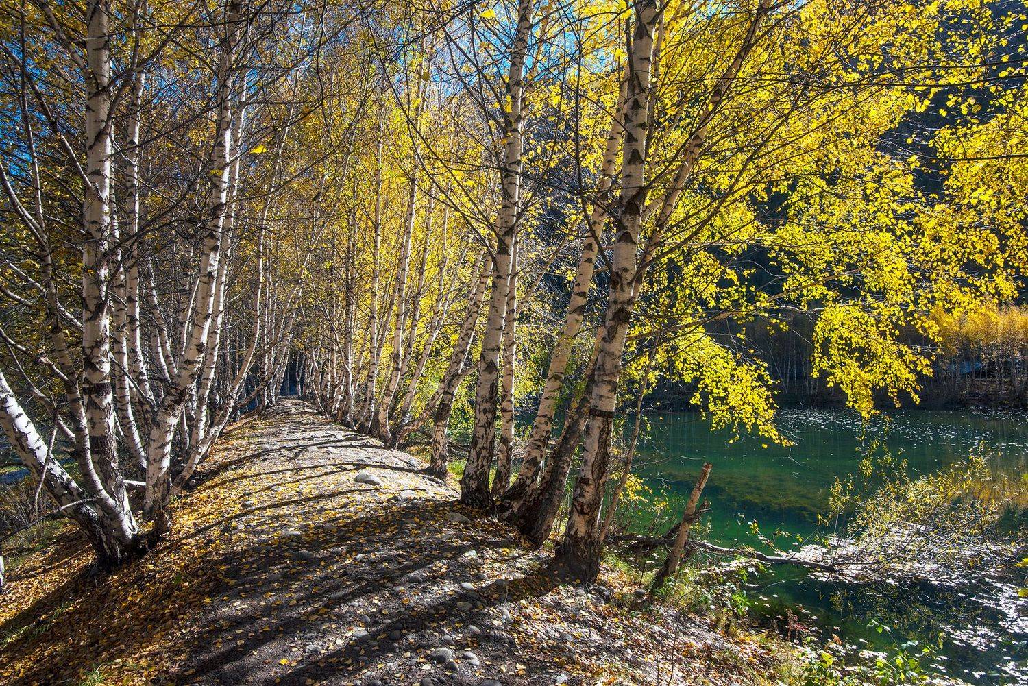 приэльбрусье, кабардино-балкария, Хасан Журтов