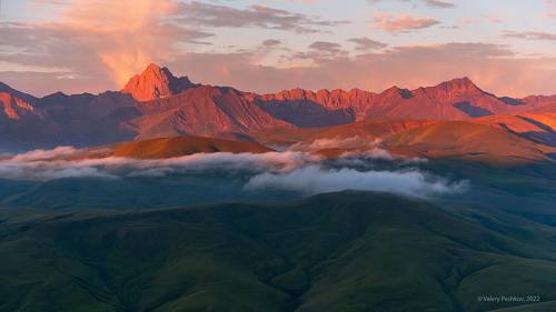 Утро крупным планом