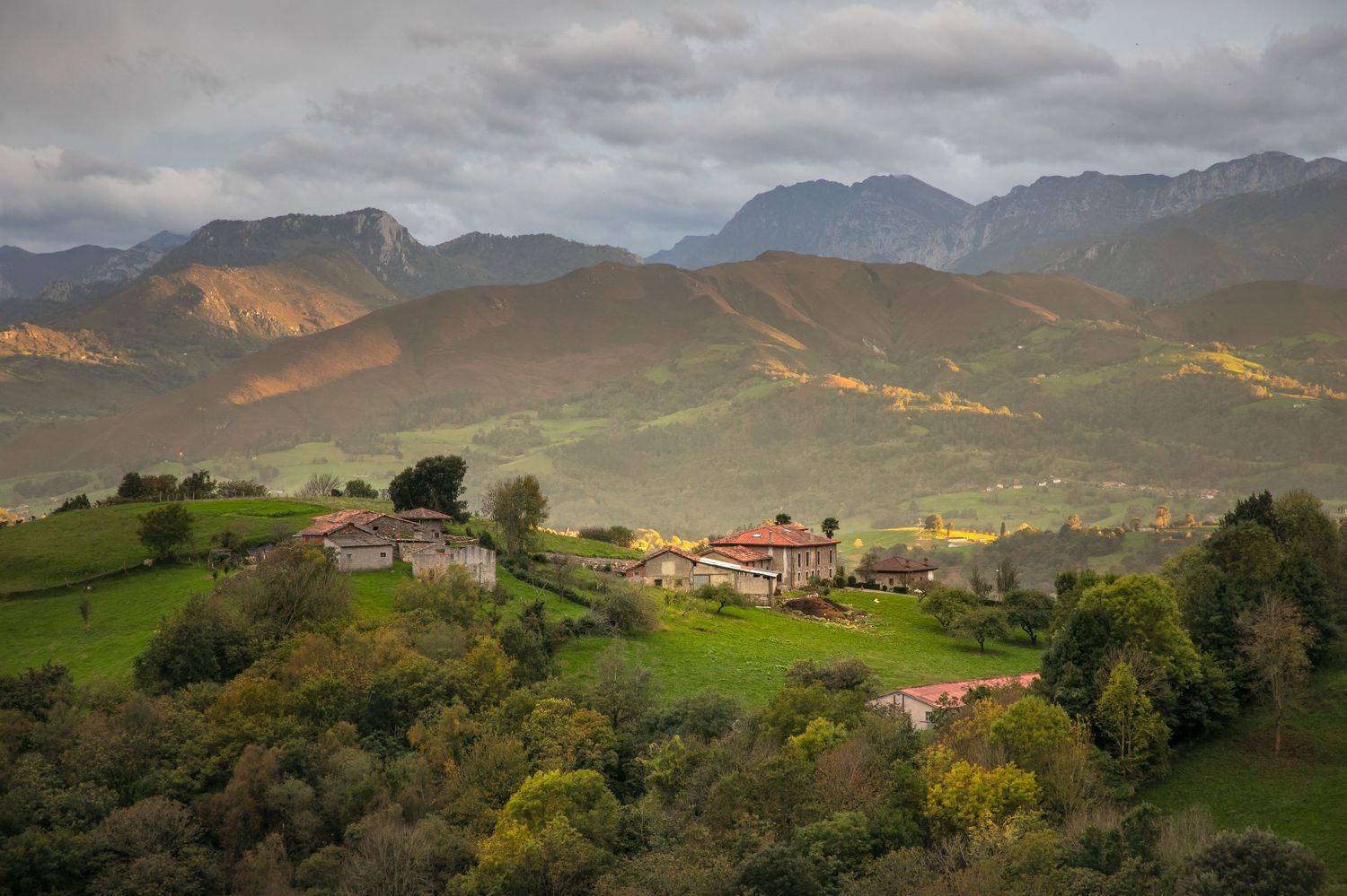 , Алекс Римский