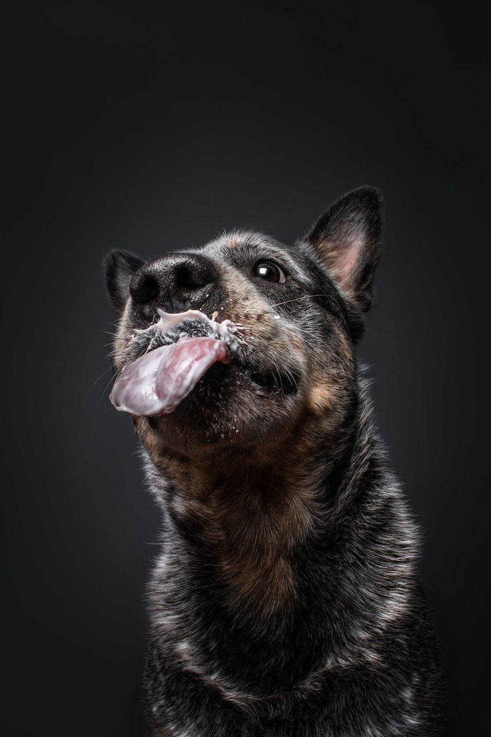 , Юлия Гончар