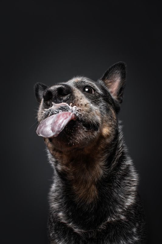 Когда в баночке чуток осталось йогурта :) фото превью