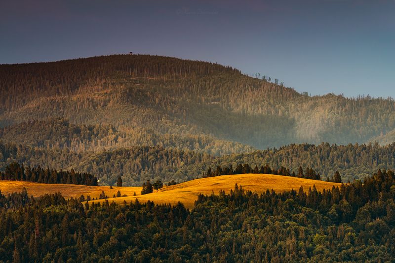 carpathians, clearing, forest, karpaty, landscape, mountains, mountainscape, pieniny, plants, poland, polska, sky, trees, warm, watchtower, radziejowa, lookout tower, radziejowa, jarmuta, stary wierch The Bald and the Hatters фото превью