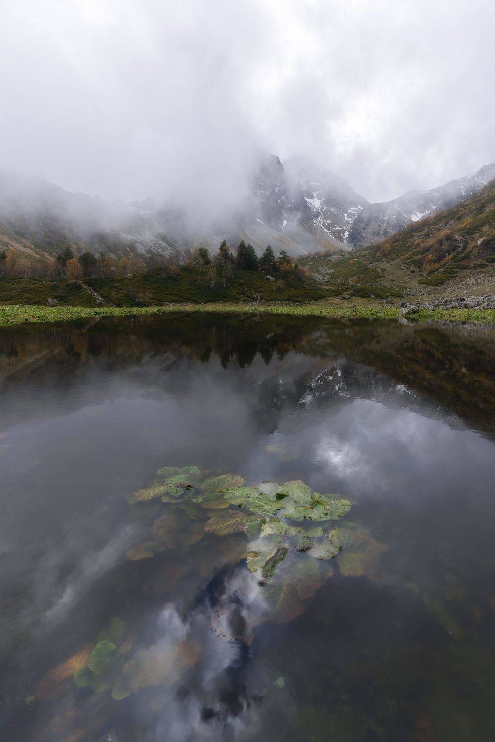 , Юлия Мальцева