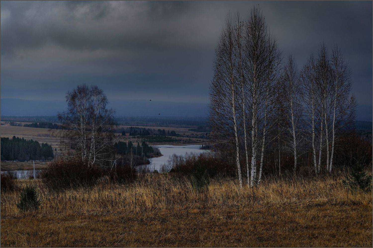 , Александр  Швачко