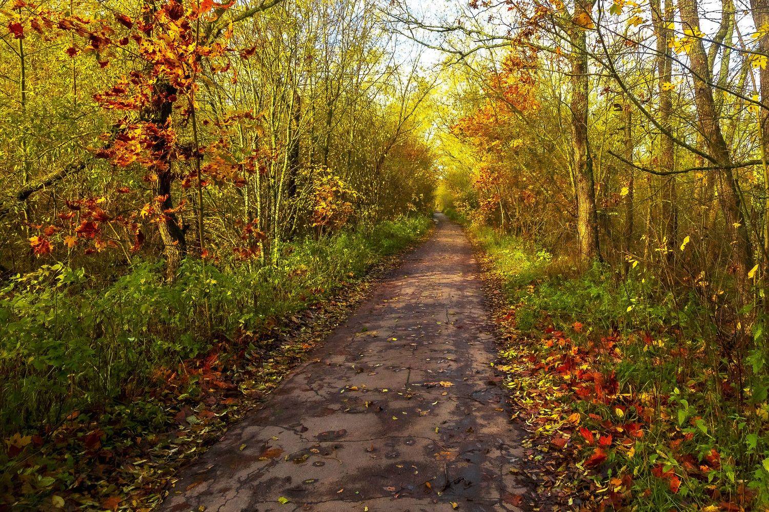 пейзаж, осень, заказник, природа, день, Игнатьев Александр