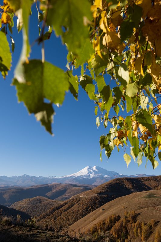 Портфолио фото превью