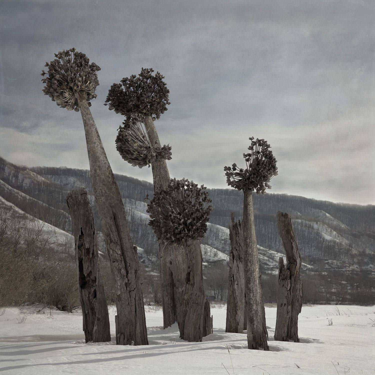 сюрреализм, Виктор Кириллов