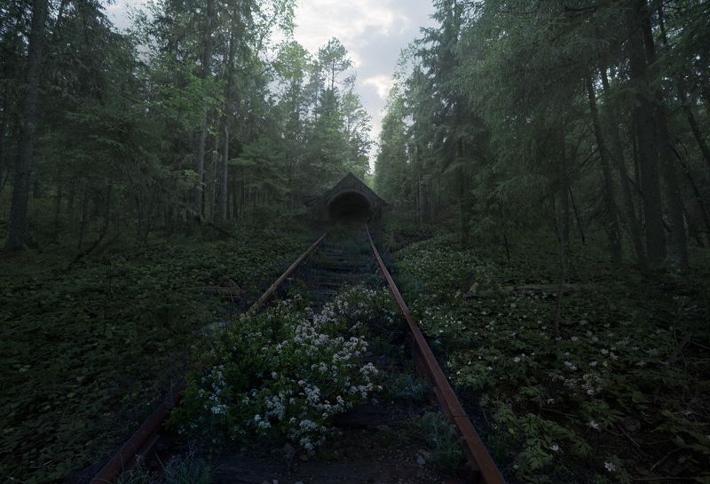 ___ фото превью