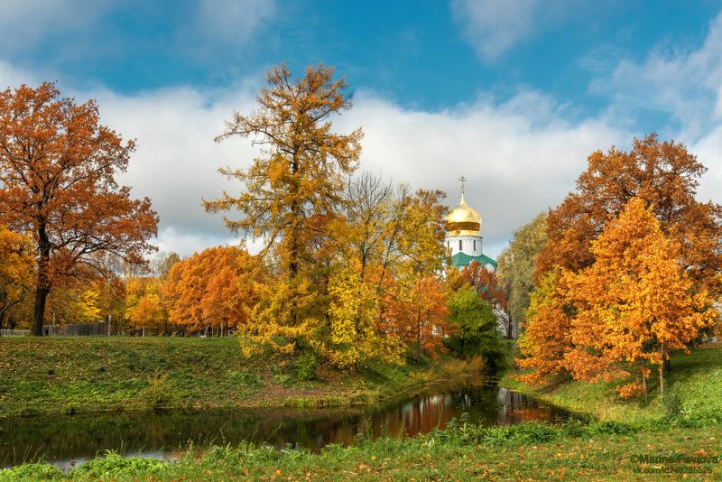 город, архитектура, город пушкин, царское село, фермский парк, собор феодоровской иконы божией матери, храм, золотая осень, пригороды петербурга, nikon Золотая осень в Царском Селе... фото превью