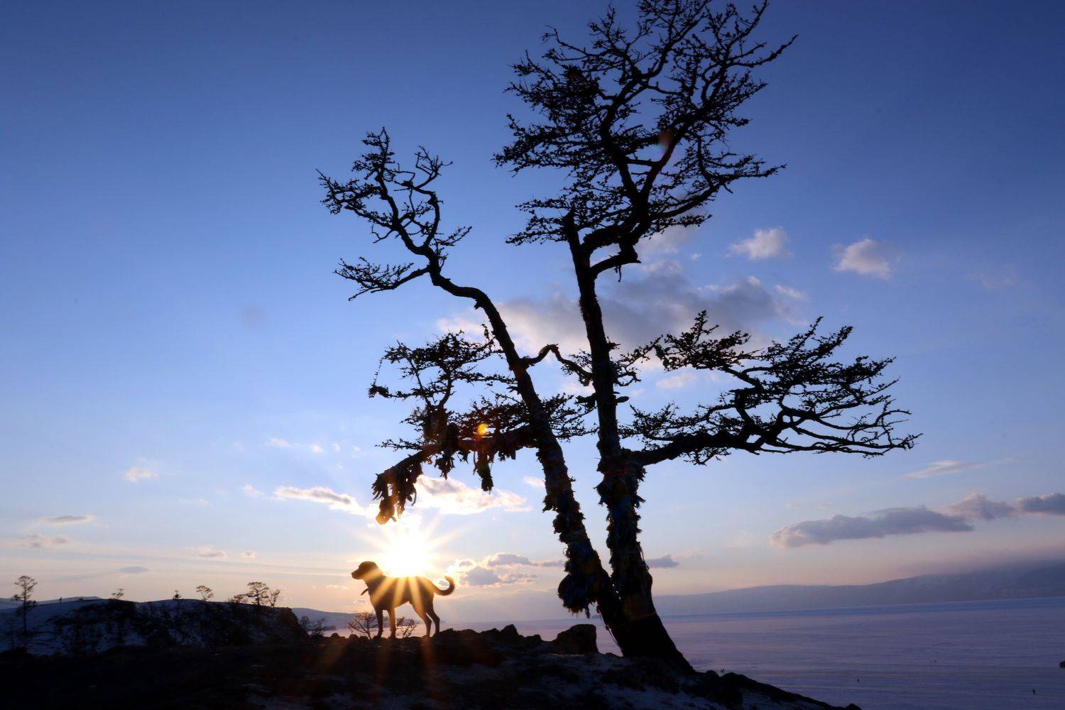 байкал Ольхон Шаманка закат пёс , Елена Колосова