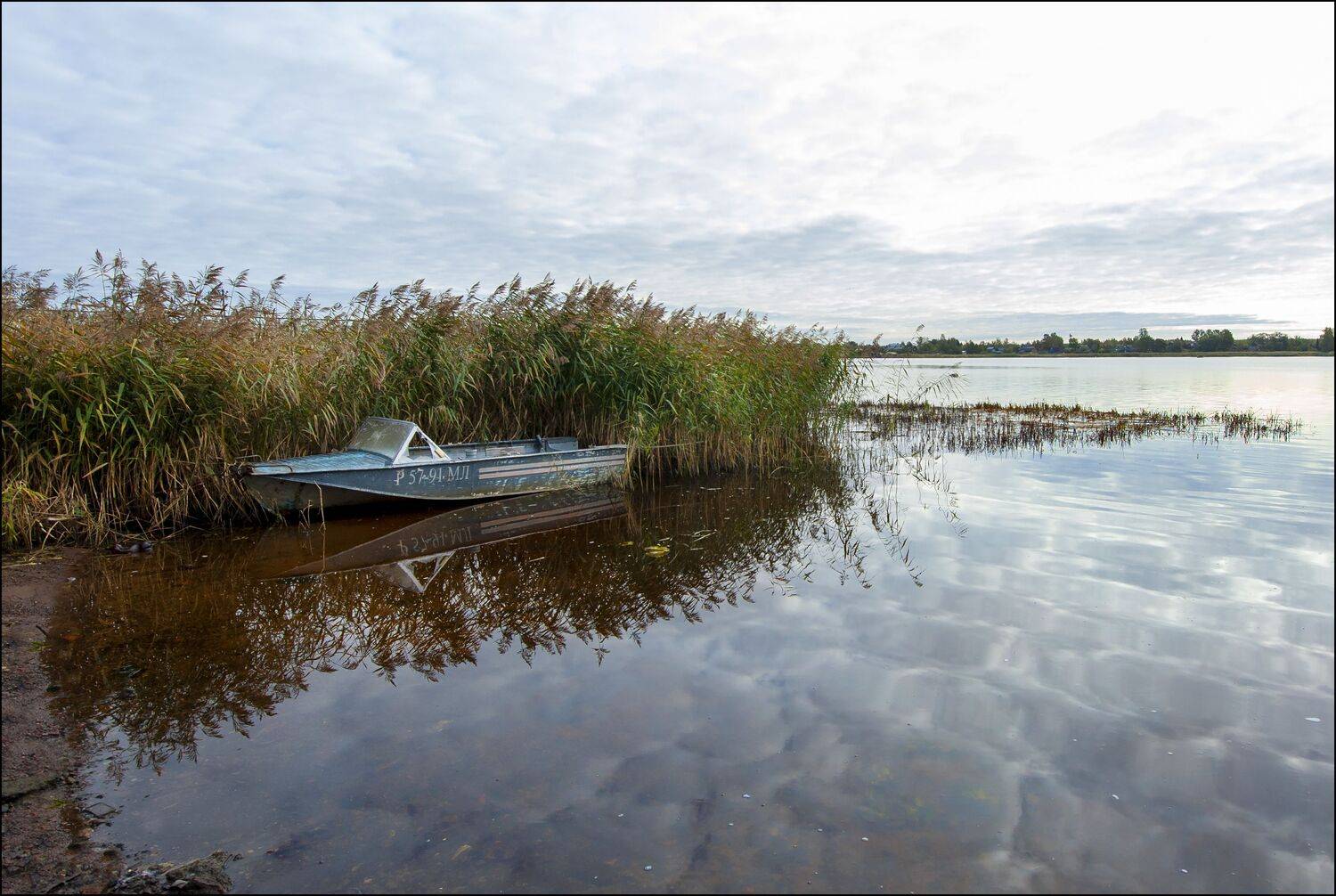 , Георгий Сапожников