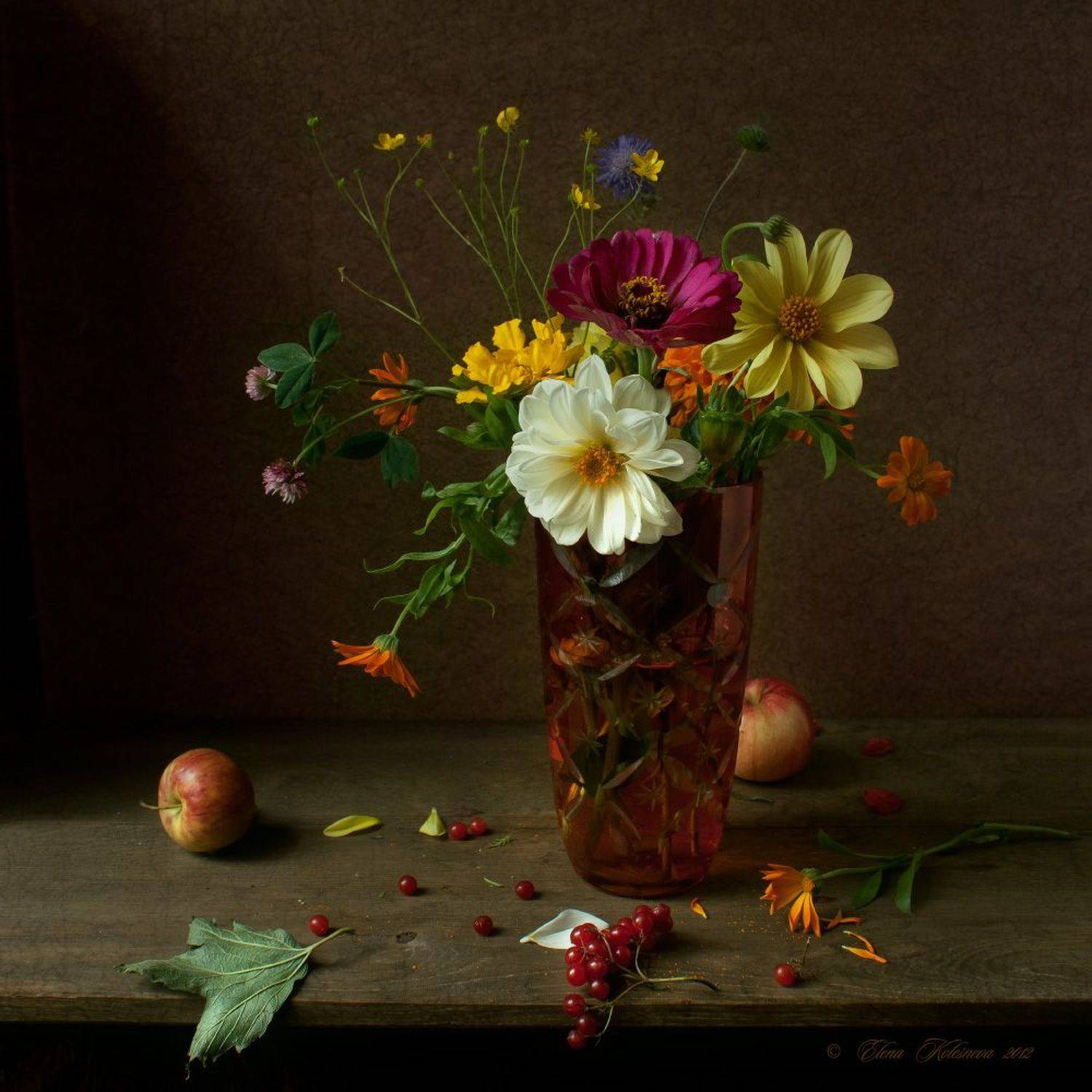 , Колеснева Елена