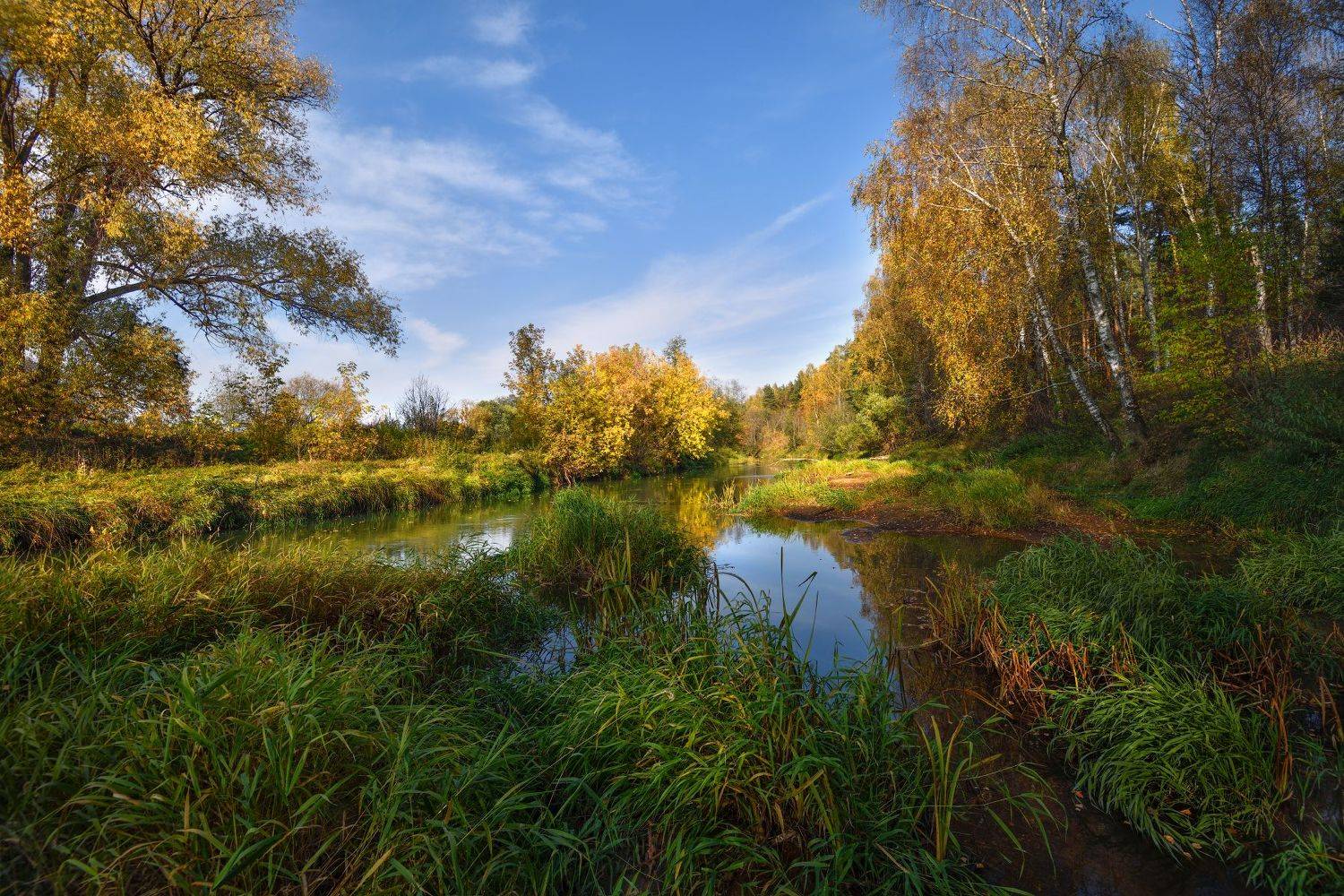 осень,река,берег,берёзы,небо.облака,отражение, Виталий Полуэктов